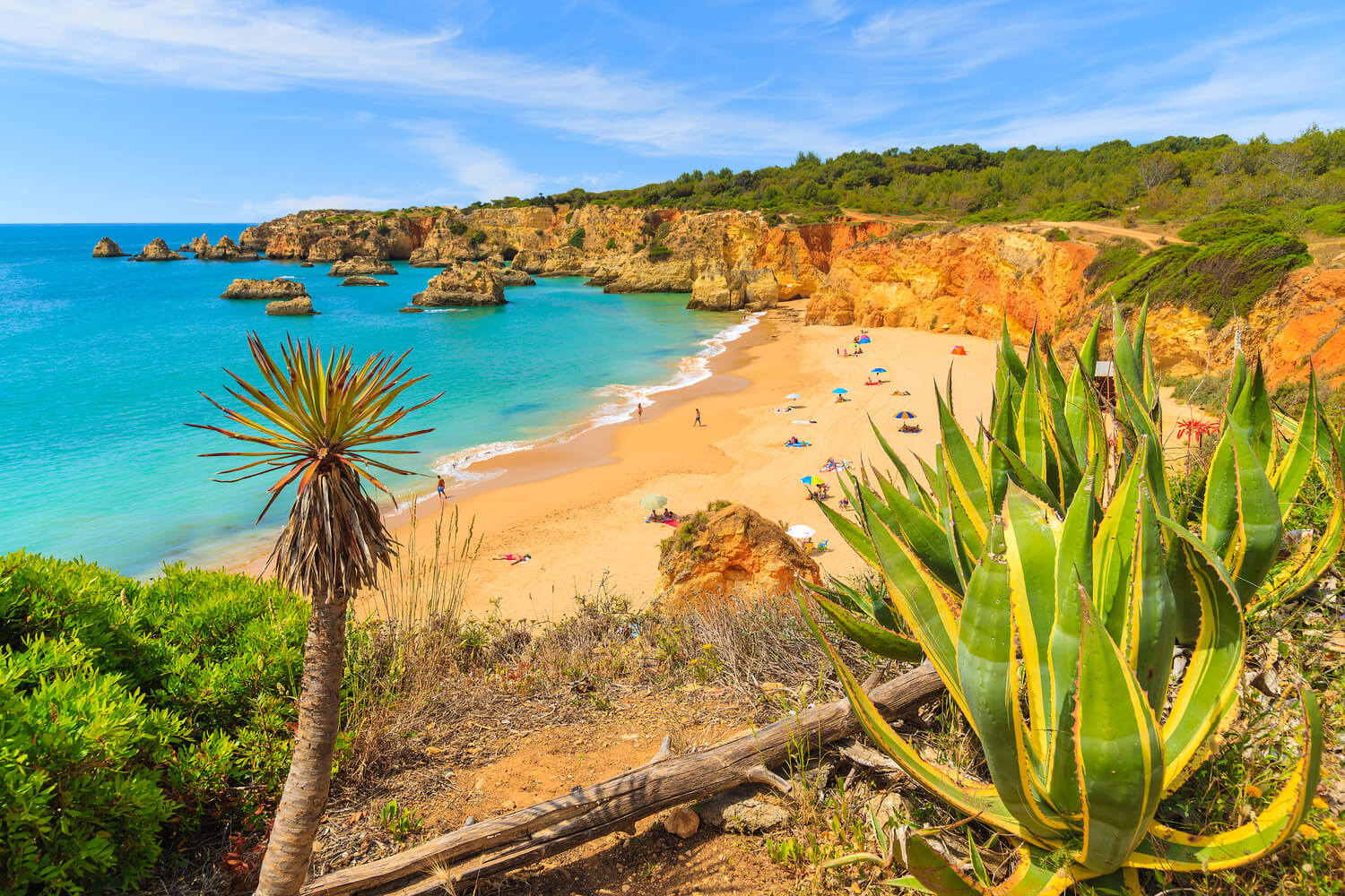 Praia do Vau